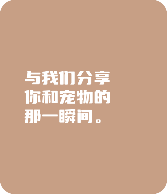 haobotiyu-好博(中国)宠物，无处不在